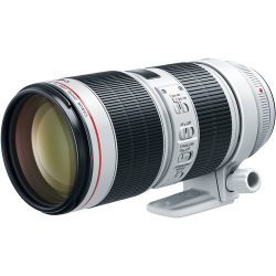 Canon 70-200mm 2.8L Mark III Lens